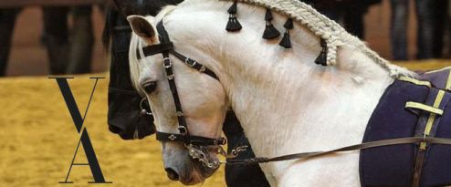 Salón Internacional del Caballo (SICAB)